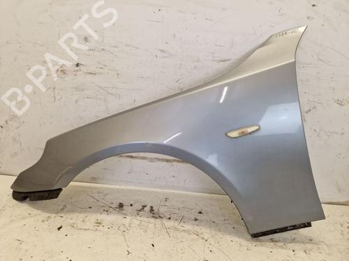Used Left front fenders BMW 5 Touring (E61) 525 xi (218 hp) 29106381