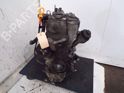 Engine SKODA FABIA II (542) 1.2 | BP29095296M1 
