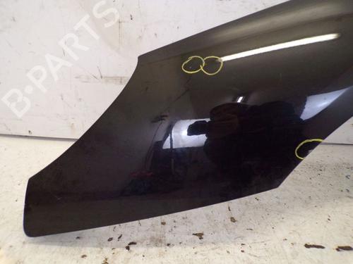 Left front fenders PEUGEOT 407 (6D_) 2.0 HDi 135 (6DRHRH, 6DRHRE, 6DRHRG, 6DRHRJ) | BP29091014C41 