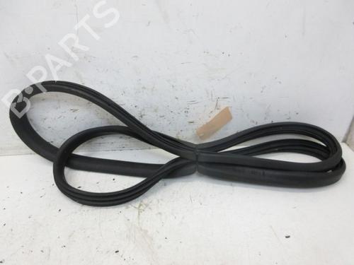 Used Rubber door seal RENAULT ZOE (BFM_) ZOE (88 hp) 29090187