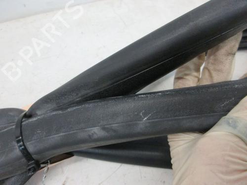 Rubber door seal RENAULT GRAND SCÉNIC III (JZ0/1_) 1.4 16V (JZ0F) | BP29094727C142 