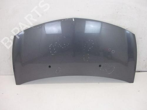 Used Hood RENAULT CLIO III (BR0/1, CR0/1) 1.6 16V (BR05, BR0B, BR0Y, BR15, BR1J, BR1M, BR1Y, CR0B,... (112 hp) 18792267