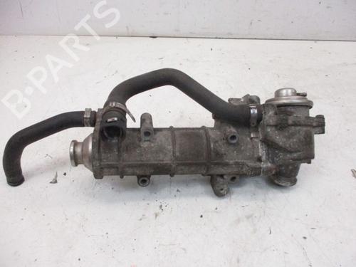 Used Egr FIAT DUCATO Van (250_) 160 Multijet 3,0 D (158 hp) 18807360