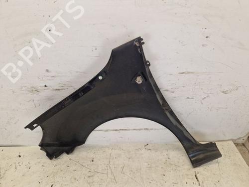 Right front fenders RENAULT KANGOO Express (FW0/1_) 1.5 dCi 90 (FW0G, FW05, FW08, FW11) | BP29102425C42 