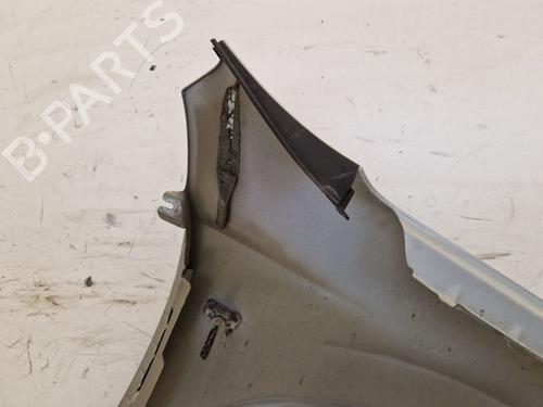 Left front fenders NISSAN QASHQAI I (J10, NJ10) 1.6 | BP29104579C41 