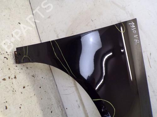 Right front fenders VW PASSAT B6 (3C2) 2.0 TDI | BP19298384C42 