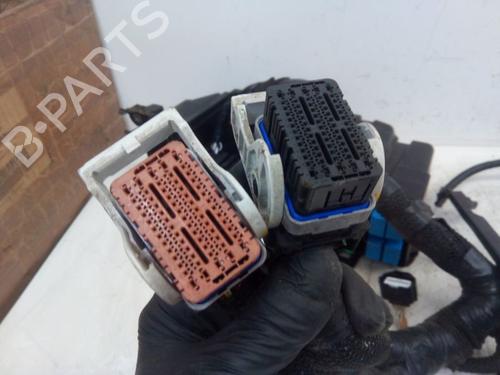 Wiring harness ALPINE A110 II 1.8 | BP29108840E16