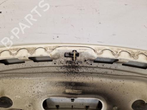 Hood CITROËN JUMPY II Van 1.6 HDi 90 16V | BP30668935C1 