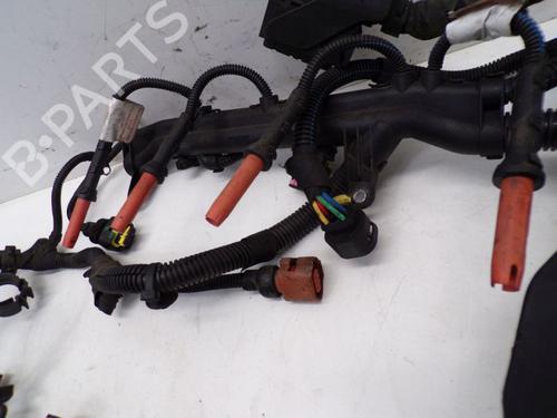 Wiring harness FIAT BRAVO II (198_) 1.6 D Multijet (198AXH1B) | BP29085083E16