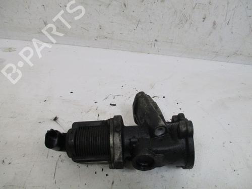 Used Egr FIAT GRANDE PUNTO (199_) 1.3 D Multijet (75 hp) 18800314