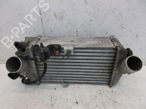 Used Intercooler HYUNDAI i20 II (GB, IB) 1.0 T-GDI (101 hp) 30667873