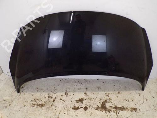 Used Hood PEUGEOT 207 CC (WD_) 1.6 16V (120 hp) 29095939