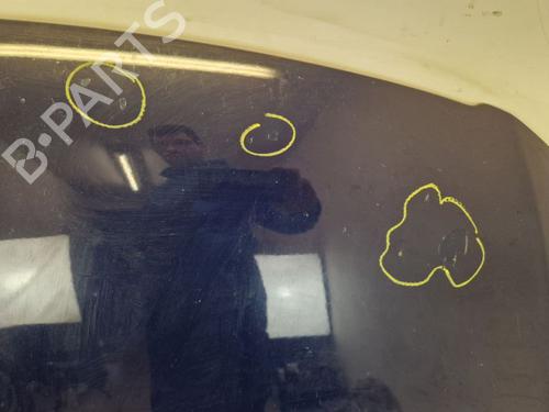 Hood VW PASSAT B6 Variant (3C5) 1.4 TSI | BP29101702C1 