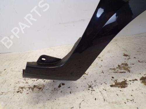 Right front fenders RENAULT CLIO III (BR0/1, CR0/1) 1.2 16V (BR02, BR0J, BR11, CR02, CR0J, CR11) | BP19506963C42 