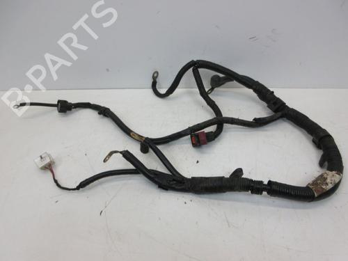 Used Wiring harness SUZUKI SX4 (EY, GY) 1.9 DDiS (RW419D) (120 hp) 29096996