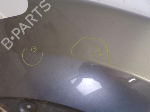 Left front fenders NISSAN QASHQAI / QASHQAI +2 I (J10, NJ10, JJ10E) 2.0 All-wheel Drive | BP21138105C41 