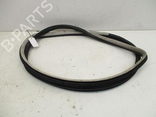 Rubber door seal VW NEW BEETLE (9C1, 1C1) 1.6 | BP29085344C142 