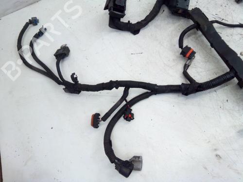 Wiring harness OPEL ANTARA A (L07) 2.0 CDTI 4x4 | BP27202054E16 