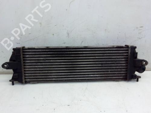 Intercooler RENAULT TRAFIC II Van (FL) 2.0 dCi 115 (FL01, FL0U, FL00, FL0H, FL0M) | BP29102054M30 