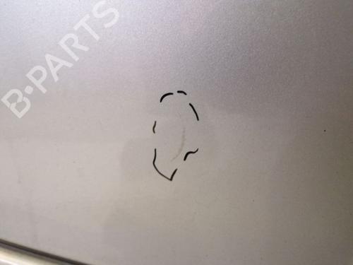 Right front door MERCEDES-BENZ C-CLASS T-Model (S203) C 200 Kompressor (203.242) | BP29092683C3 