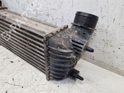 Intercooler FIAT SCUDO Bus (270_, 272_) 2.0 D Multijet | BP29106555M30 