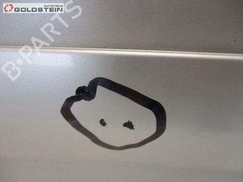 Left front door OPEL SIGNUM Hatchback (Z03) 1.9 CDTI (F48) | BP26647382C2 