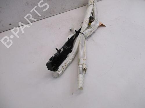 Interior roof FORD KUGA II (DM2) 1.6 EcoBoost 4x4 | BP29087798I12 