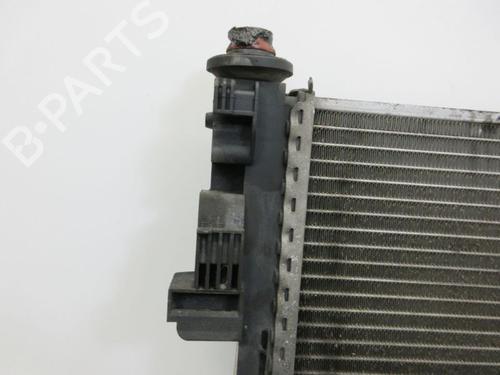 Water radiator MERCEDES-BENZ A-CLASS (W169) A 180 CDI (169.007, 169.307) | BP29098649M31 