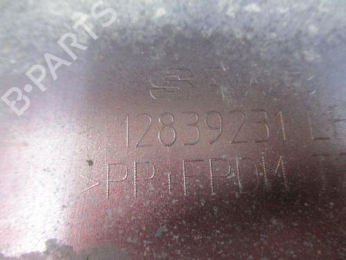 Door moulding trim SAAB 9-3 (YS3F, E79, D79, D75) 2.0 t | BP19291658C150 