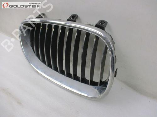 Grille BMW 5 Touring (E61) 530 d | BP18756375C40 