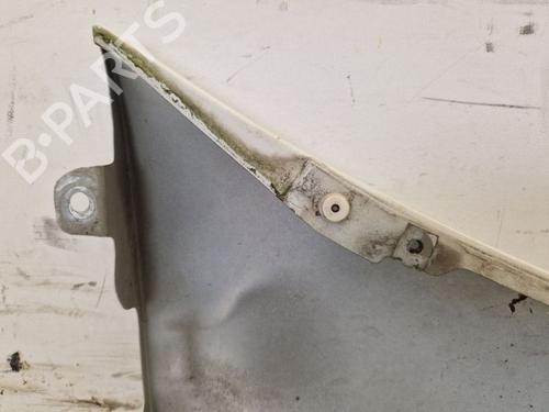 Left front fenders RENAULT TRAFIC II Van (FL) 2.0 dCi 115 (FL01, FL0U, FL00, FL0H, FL0M) | BP29101896C41 