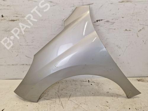 Used Left front fenders PEUGEOT 207 (WA_, WC_) 1.4 16V (95 hp) 24533641