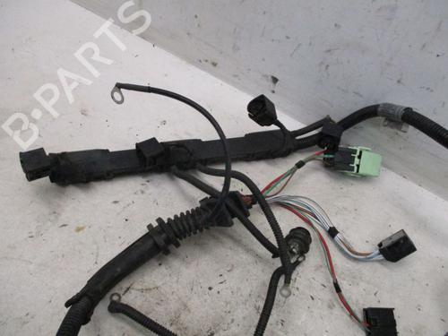 Wiring harness BMW X5 (E70) xDrive 48 i | BP18802120E16 