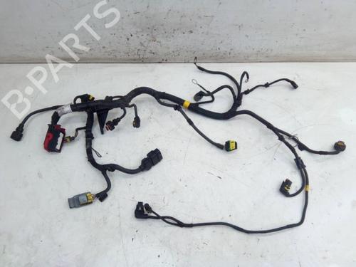 Used Wiring harness FORD KA (RU8) 1.2 (69 hp) 30669166