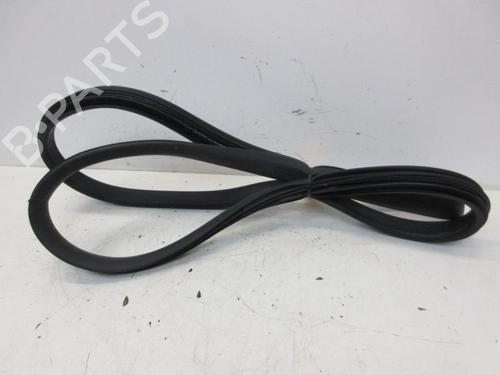 Used Rubber door seal RENAULT CLIO IV (BH_) 1.2 16V (73 hp) 29098679