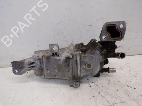 Egr RENAULT MASTER III Bus (JV) 2.3 dCi 100 FWD (JV0A, JV0B, JV0G, JV0H) | BP31703638M69 