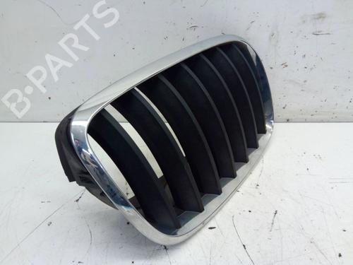 Grille BMW X5 (E70) xDrive 30 i | BP29102884C40 