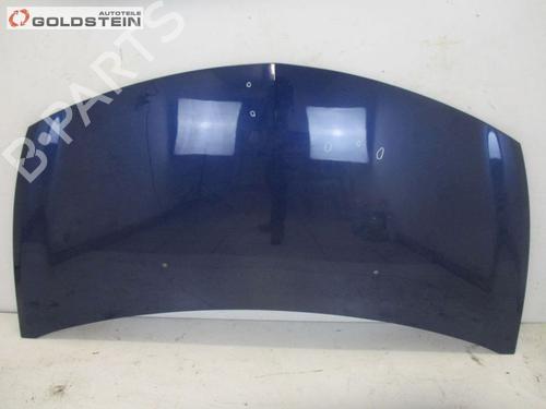 Used Hood RENAULT CLIO III (BR0/1, CR0/1) 1.2 16V (BR02, BR0J, BR11, CR02, CR0J, CR11) (75 hp) 18755911