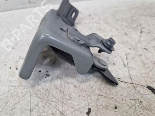 Hinge/Door check strap RENAULT MEGANE E-TECH SUV EV60 (BNJ1) | BP29100887C146 