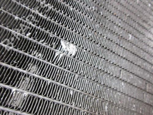 Water radiator NISSAN NOTE (E11, NE11) 1.4 | BP37124170M31 - Image 8