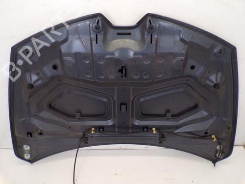 Hood RENAULT CLIO IV (BH_) 1.2 TCe 120 (BHM0) | BP29083665C1 