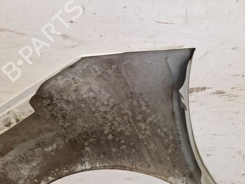 Right front fenders CITROËN C3 II (SC_) 1.2 VTi 82 | BP30669055C42 