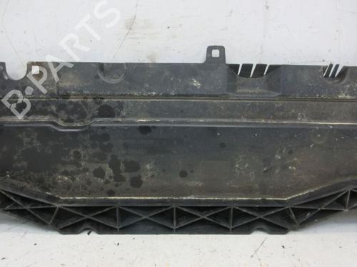 Understellsbeskyttelse PEUGEOT 207 (WA_, WC_) 1.6 16V VTi | BP29093645M92