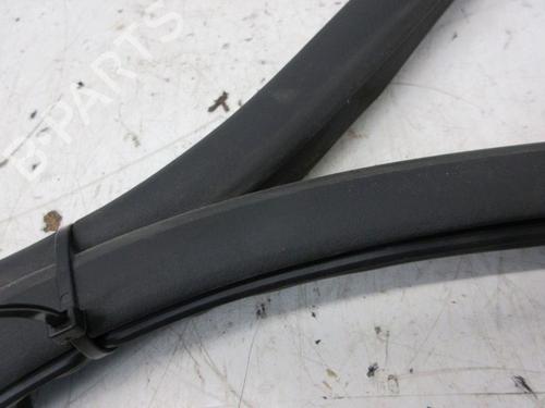 Gummiliste RENAULT ZOE (BFM_) ZOE | BP29099251C142