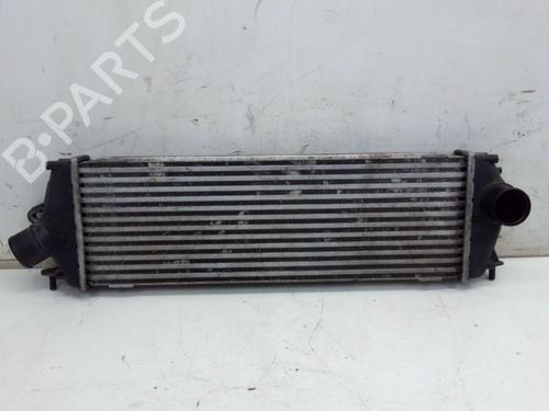 Intercooler RENAULT TRAFIC II Van (FL) 2.0 dCi 115 (FL01, FL0U, FL00, FL0H, FL0M) | BP29102054M30 