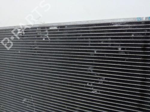 Køler RENAULT AUSTRAL E-TECH 200 Hybrid (HGM2) | BP29108495M31