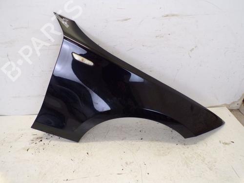 Used Right front fenders BMW 1 (E87) 116 i (122 hp) 29099638