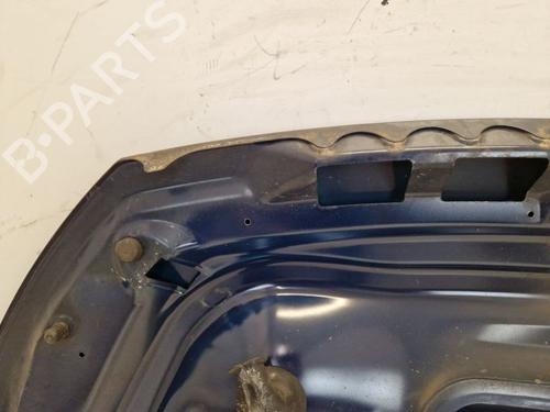 Hood FIAT SCUDO Bus (270_, 272_) 2.0 D Multijet | BP29106482C1 