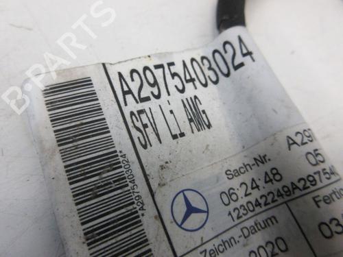 Wiring harness MERCEDES-BENZ EQS (V297) EQS 450+ (297.123) | BP29099191E16 