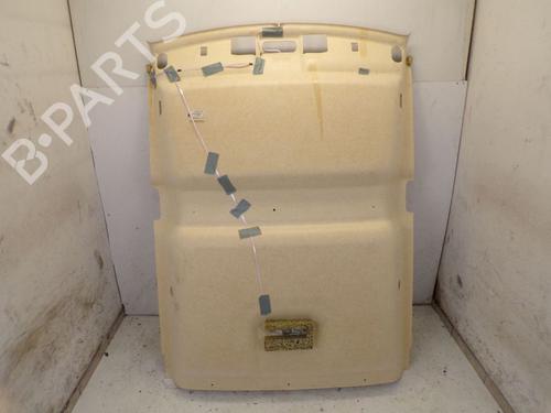Interior roof RENAULT KANGOO / GRAND KANGOO II (KW0/1_) 1.5 dCi 90 (KW05, KW08, KW0G, KW11) | BP29091913I12 